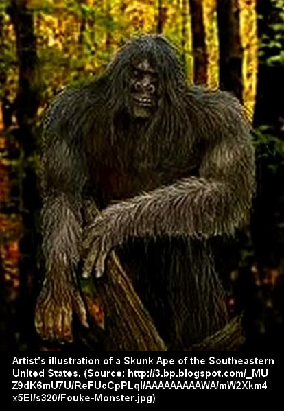 SKUNK APES: HAIRY HUMA...